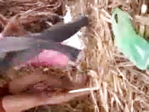 NICE TIT SUCKING एक् ...